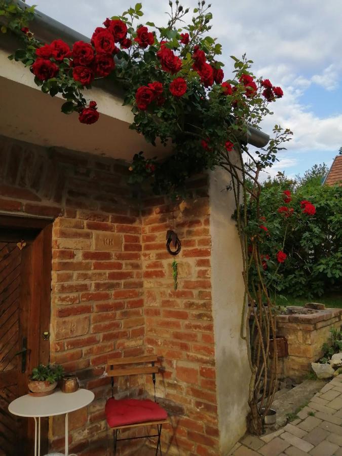 Mives Vendeghaz Hotel Pogany ภายนอก รูปภาพ
