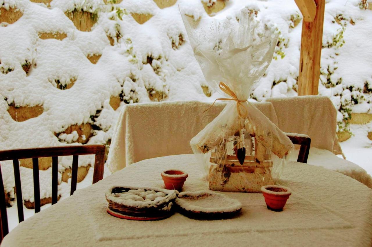 Mives Vendeghaz Hotel Pogany ภายนอก รูปภาพ