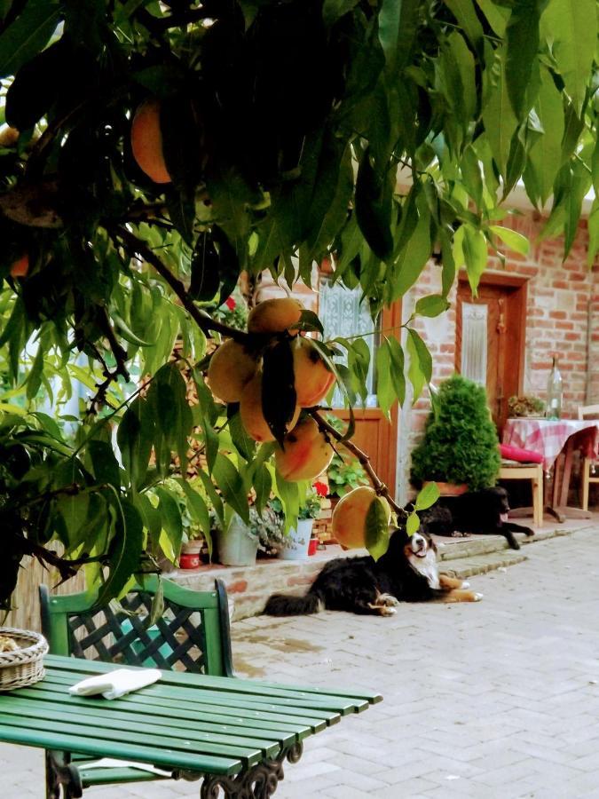 Mives Vendeghaz Hotel Pogany ภายนอก รูปภาพ